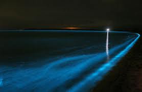 1biolumocean