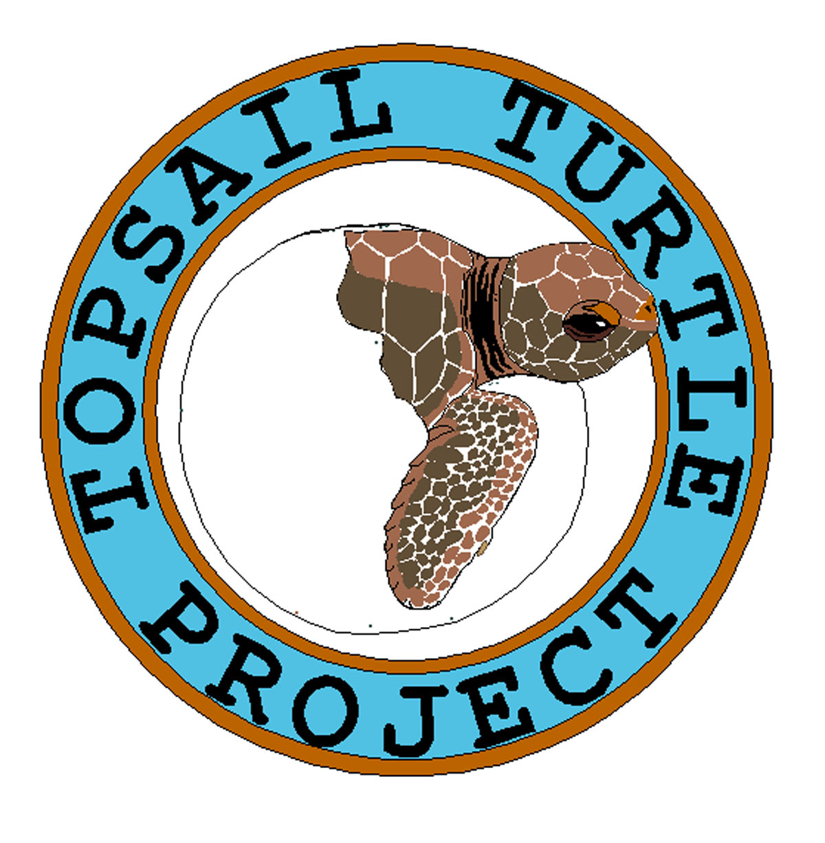 Topsail_Turtle_Project