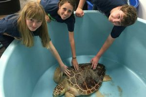 campers-at-turtle-tank