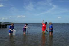 campers-marsh-nets