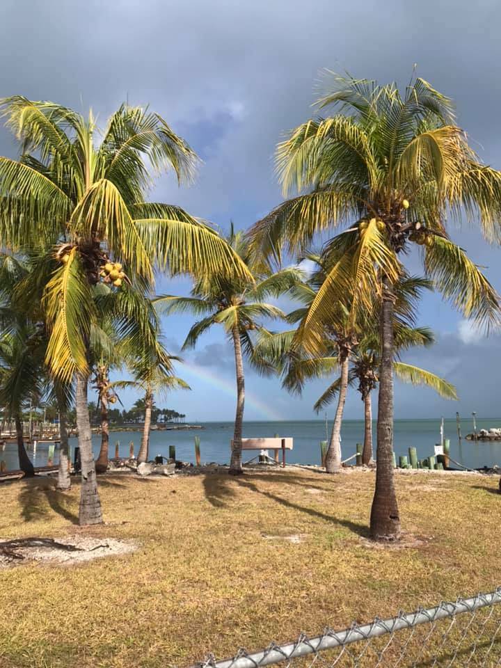 Florida Keys Spring Break - Sea Turtle Camp