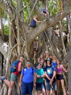 Sea Turtle Camp Hawaii