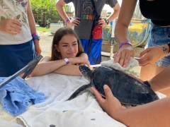 Sea Turtle Camp Hawaii