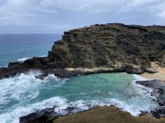 Sea Turtle Camp Hawaii