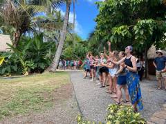 Sea Turtle Camp Hawaii