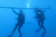 diving-pair-peace