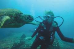 scuba-with-turtle